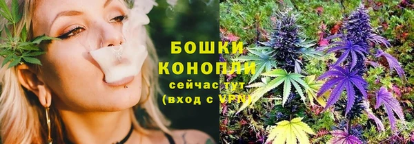 ГАЛЛЮЦИНОГЕННЫЕ ГРИБЫ Балахна