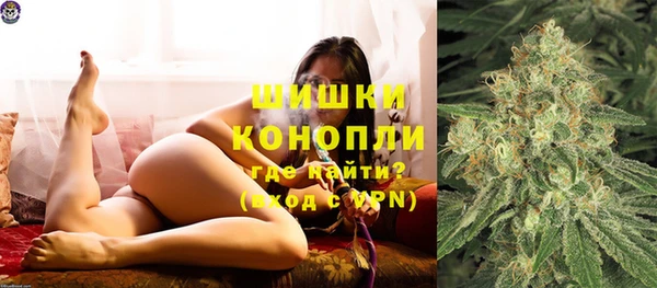 ГАЛЛЮЦИНОГЕННЫЕ ГРИБЫ Балахна