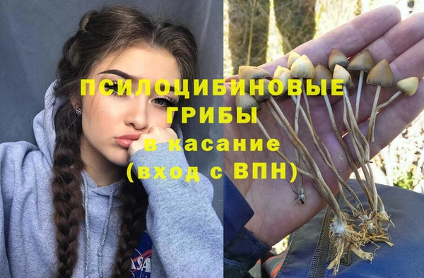 мдпв Балабаново