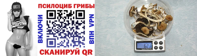 blacksprut рабочий сайт  Валдай  Псилоцибиновые грибы Psilocybe 